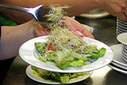 frisch angemacht sind die Salate im greeny's (©Foto: Marikka-Laila Maisel)